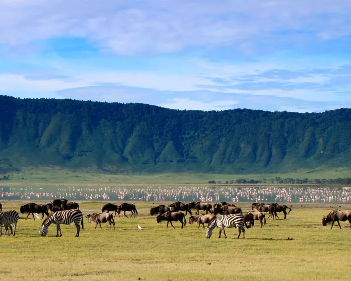 Tanzania