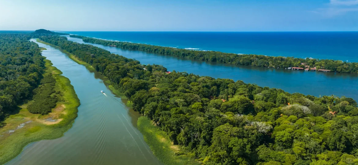 Tortuguero National Park Costa Rica