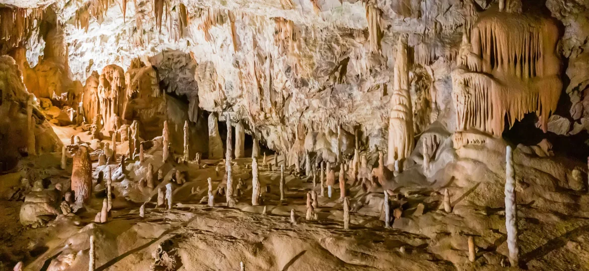 Postojnjagrot Slovenië