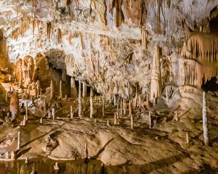 Postojnjagrot Slovenië